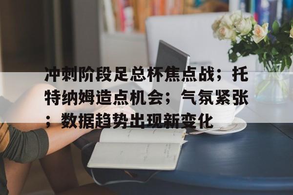 开云体育官网-包含冲刺阶段足总杯焦点战;托特纳姆造点机会;气氛紧张;数据趋势出现新变化的词条