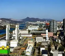 里程碑夜!辽宁本钢完成体检,欧冠今晚刷纪录,底气十足,资深球员宣示担当(本钢高烈去中国矿业集团) 里程碑夜!辽宁本钢完成体检,欧冠今晚刷纪录,底气十足,资深球员宣示担当(本钢高烈去中国矿业集团)